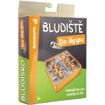 Bludiště hlavolam Do úkrytu plast 12x12cm balanční hra 2 barvy – Zbozi.Blesk.cz