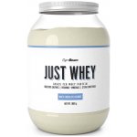 GymBeam Just Whey 1000 g – Hledejceny.cz