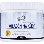 Adelle Davis Kolagen na klouby 257 g – Hledejceny.cz