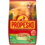 Propesko Wellness 10 kg – Zbozi.Blesk.cz