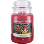 Yankee Candle Tropical Jungle 623 g – Hledejceny.cz