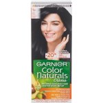 Garnier Color Naturals 1+ Ultra černá – Zbozi.Blesk.cz