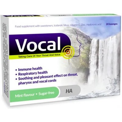Vocal HA Pastilky bez cukru s příchutí Máty 24ks – Zboží Dáma
