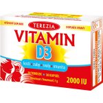 TEREZIA Vitamin D3 2000 IU 90 tobolek – Zbozi.Blesk.cz