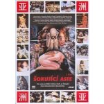 Šokující Asie 1-3 DVD – Hledejceny.cz