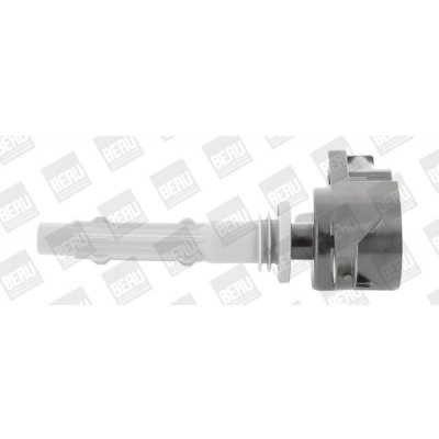 Zapalovací cívka BorgWarner (BERU) ZSE140 – Hledejceny.cz