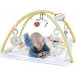 Mattel Fischer Price Hrací dečka se senzorickými hračkami – Sleviste.cz