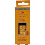 Chesapeake Bay Aroma olej Energise 10 ml – Hledejceny.cz