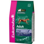 Eukanuba Adult Large Breed 3 kg – Hledejceny.cz