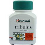 Himalaya Tribulus 60 kapslí – Hledejceny.cz