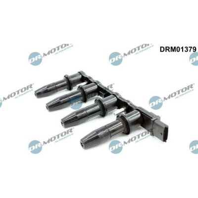 Zapalovací cívka Dr.Motor Automotive DRM01379 – Hledejceny.cz