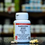 Sinecura kustovnice Goji gouqizi 20 g instantní prášek – Hledejceny.cz
