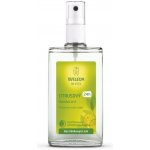 Weleda Citrus deospray 100 ml – Hledejceny.cz