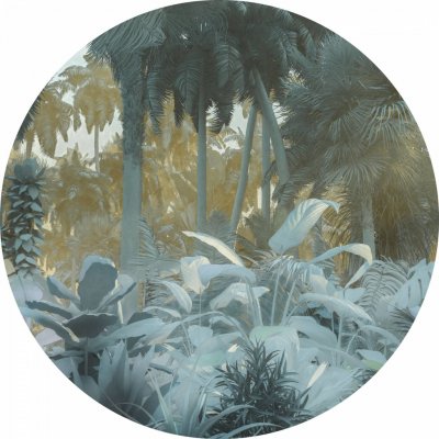 Komar Dots D1-047 Kulatá samolepicí fototapeta Exotická džungle průměr ø 125 cm – Zboží Mobilmania
