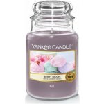 Yankee Candle Berry Mochi 623 g – Hledejceny.cz