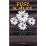 Mariánské, trojiční a další světecké sloupy a pilíře v Jihočeského - Maxová Ivana – Hledejceny.cz