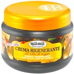 Mil Mil Argan/regenerační krém s arganovým olejem pro všechny typy vlasů 500 ml – Hledejceny.cz