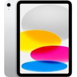 Apple iPad 10.9 (2024) 256GB Wi-Fi + Cellular Silver MCMN4HC/A – Zboží Živě