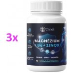 Vitalmix Magnézium+b6+zinok 90+20 tablet – Hledejceny.cz
