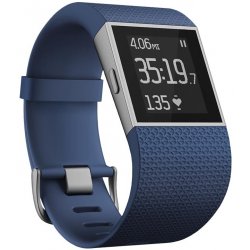 Fitbit Surge L