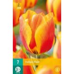 Tulipán Flair (7 cibulí) – Zbozi.Blesk.cz