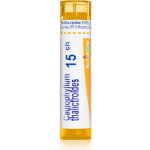 CAULOPHYLLUM THALICTROIDES POR 15CH GRA 1X4G – Hledejceny.cz
