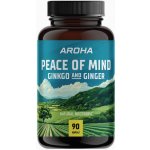 Aroha Ginkgo & Ginger 90 kapslí – Hledejceny.cz