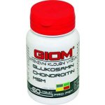 Giom Intenzivní kloubní výživa 60 tbl – Zboží Dáma