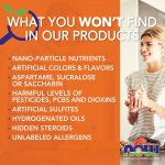 Now Foods Vitamín C 1000 mg s Šípkem + Bioflavonoidy 100 tablet – Hledejceny.cz
