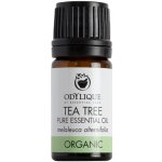 Odylique esenciální olej Tea Tree 10 ml – Hledejceny.cz