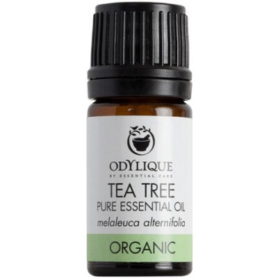 Odylique esenciální olej Tea Tree 10 ml – Hledejceny.cz