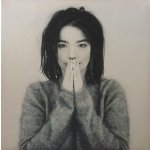 Debut - Bjork LP – Zbozi.Blesk.cz