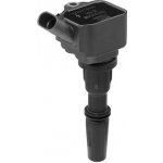 Zapalovací cívka BorgWarner (BERU) ZS596 – Hledejceny.cz