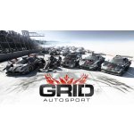 Race Driver: GRID Autosport – Hledejceny.cz