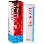 Rosen Železo + B12 20 tablet – Hledejceny.cz