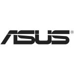 Asus Pro H610T D4-CSM 90MB1AM0-M0EAYC – Hledejceny.cz