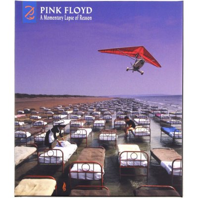 Pink Floyd - A Momentary Lapse Of Reason Remixed & Updated 2 CD – Zboží Mobilmania