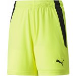 Puma teamLIGA Shorts Jr – Zbozi.Blesk.cz