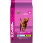 Eukanuba Adult Large Breed Weight Control 15 kg – Hledejceny.cz