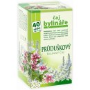 Apotheke Green Průduškový čaj 40 x 1,6 g