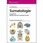Somatologie - Ivan Dylevský – Zboží Dáma