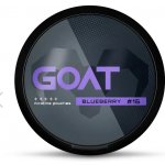 Goat nikotinové sáčky blueberry 16,4 mg 20 sáčků – Zboží Dáma