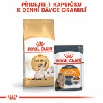 Royal Canin Siamese Adult 10 kg – Zboží Mobilmania