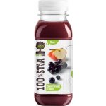 Ugo Řepa, jablko 250 ml – Zboží Dáma