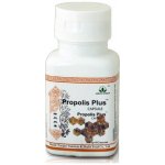 Green world Fen Czjao propolis 60 kapslí – Hledejceny.cz