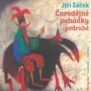 Čarodějné pohádky podruhé - Jiří Žáček