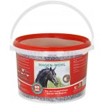Salvana Magen Wohl 3 kg – Hledejceny.cz