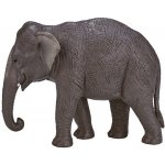Mojo Slon Indický – Zboží Mobilmania