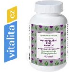 Naturvita Ostropestřec Plus Artyčok 60 kapslí – Hledejceny.cz
