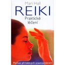 Reiki Praktické léčení -- Pomoc při běžných onemocněních - Mari Hall